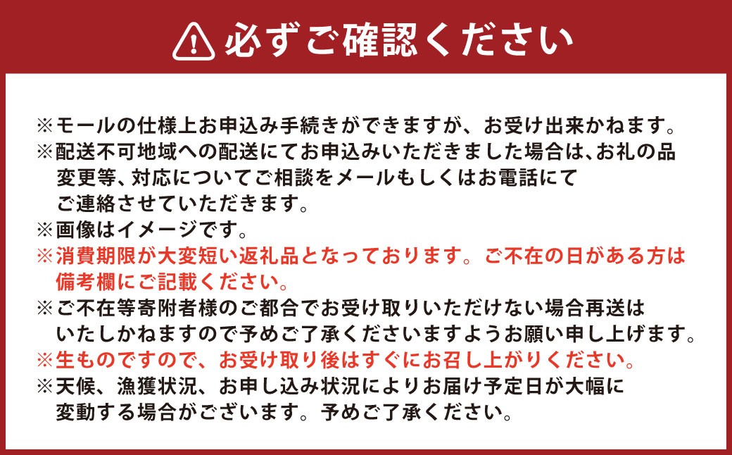 【3回定期便】 牡蠣 坂越かき 殻付き 25個～30個 （牡蠣ナイフ付き） 