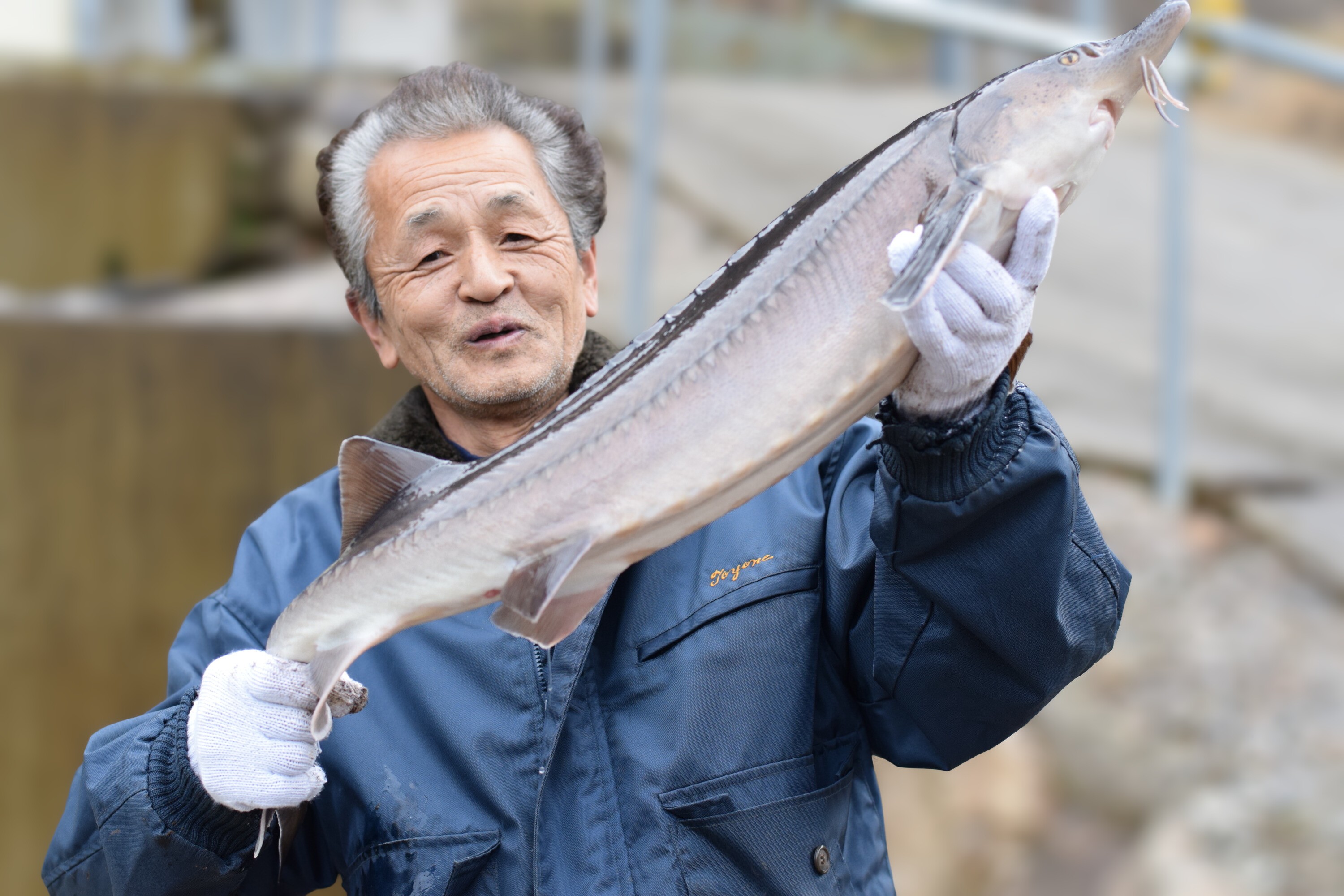手塩にかけて育てました！