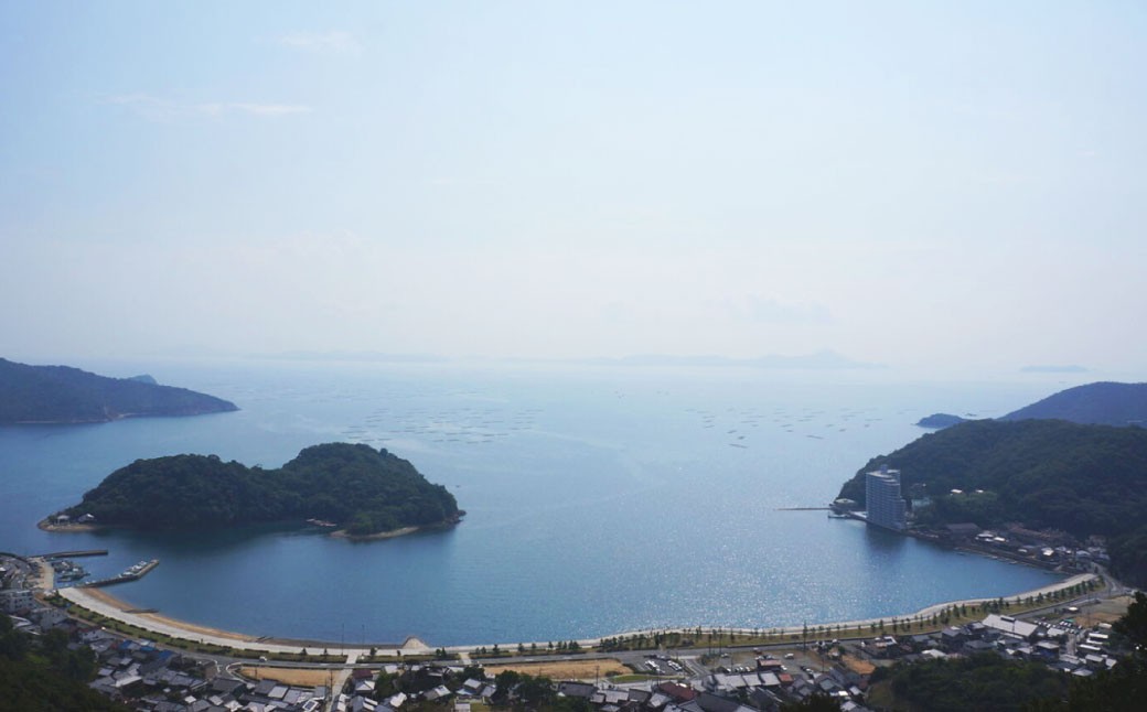 【3回定期便】 牡蠣 坂越かき 殻付き20個～25個 ＋ むき身200g（牡蠣ナイフ付き）