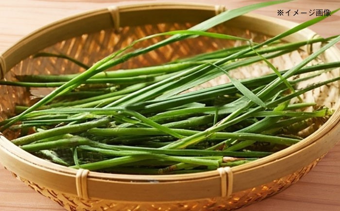 お茶 お茶の葉 茶葉 健康茶 野草茶 国産 ノンカフェイン 食物繊維 スッキリ習慣 健康習慣 