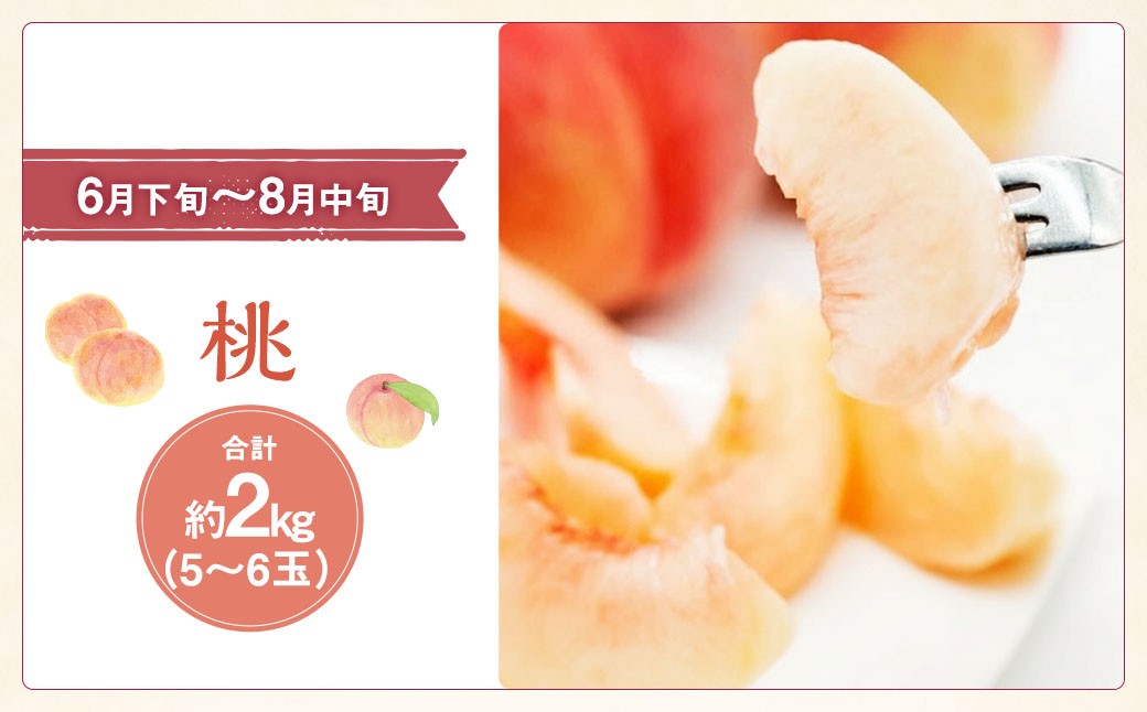 【3回 定期便 】山梨県産 フルーツ 『 桃 2kg & シャインマスカット 1.8kg & キウイフルーツ 1.5kg』