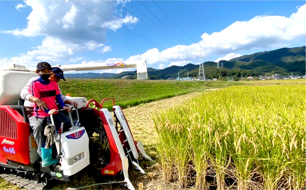 【6回定期便】白米 倉敷市産 ヒノヒカリ10kg