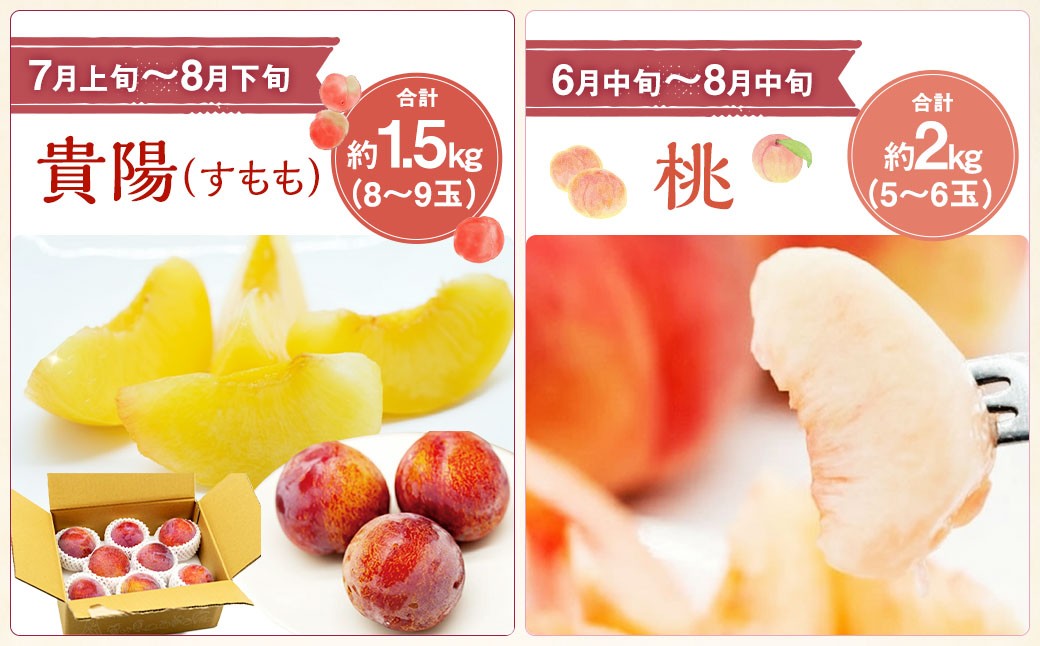 【先行受付】【6回定期便】 フルーツ王国 山梨県産 6種セット