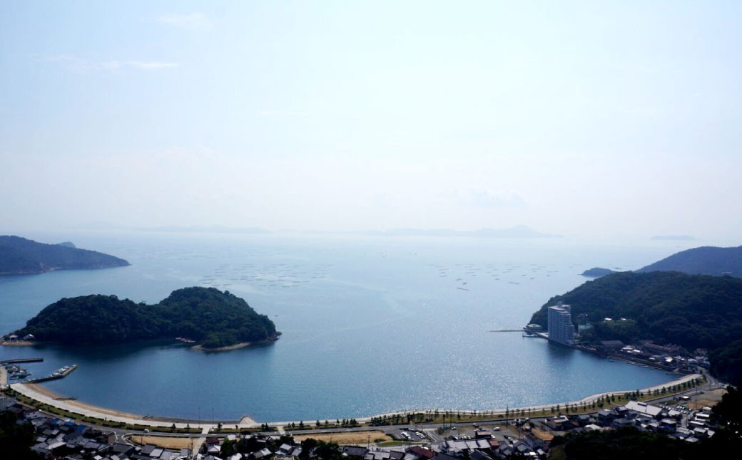 【3回定期便】 牡蠣 坂越かき 殻付き 25個～30個 （牡蠣ナイフ付き） 