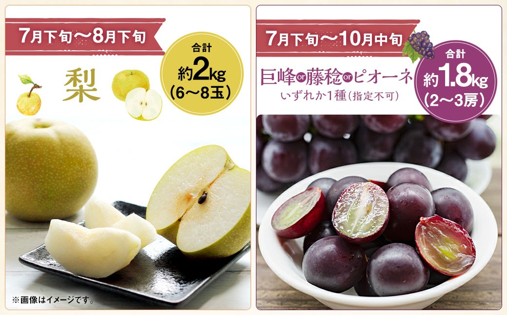 【先行受付】【6回定期便】 フルーツ王国 山梨県産 6種セット