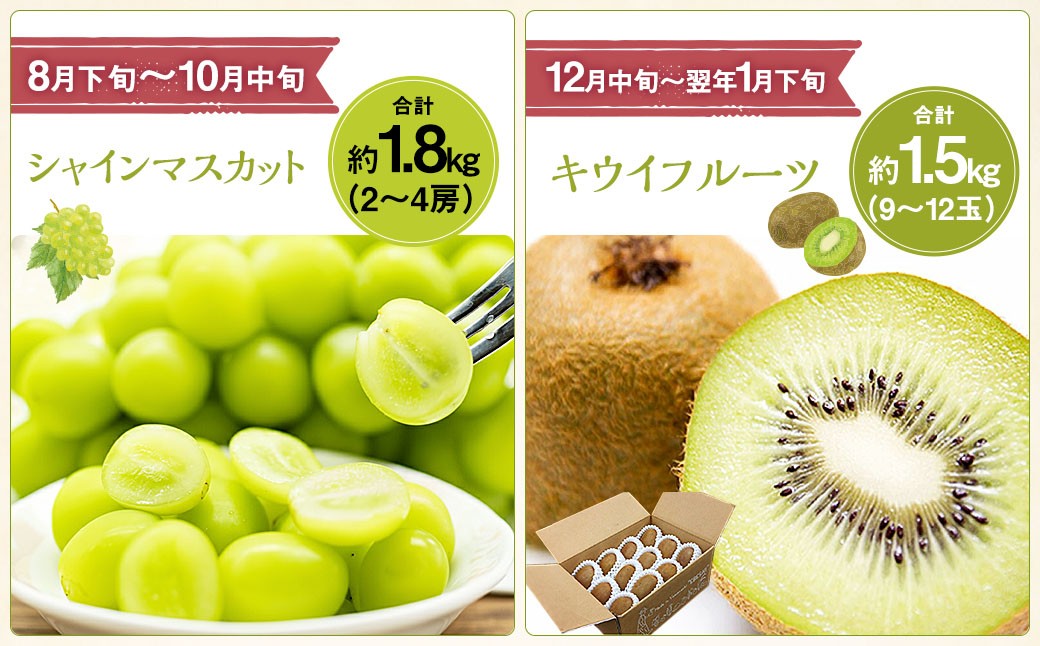 【先行受付】【6回定期便】 フルーツ王国 山梨県産 6種セット