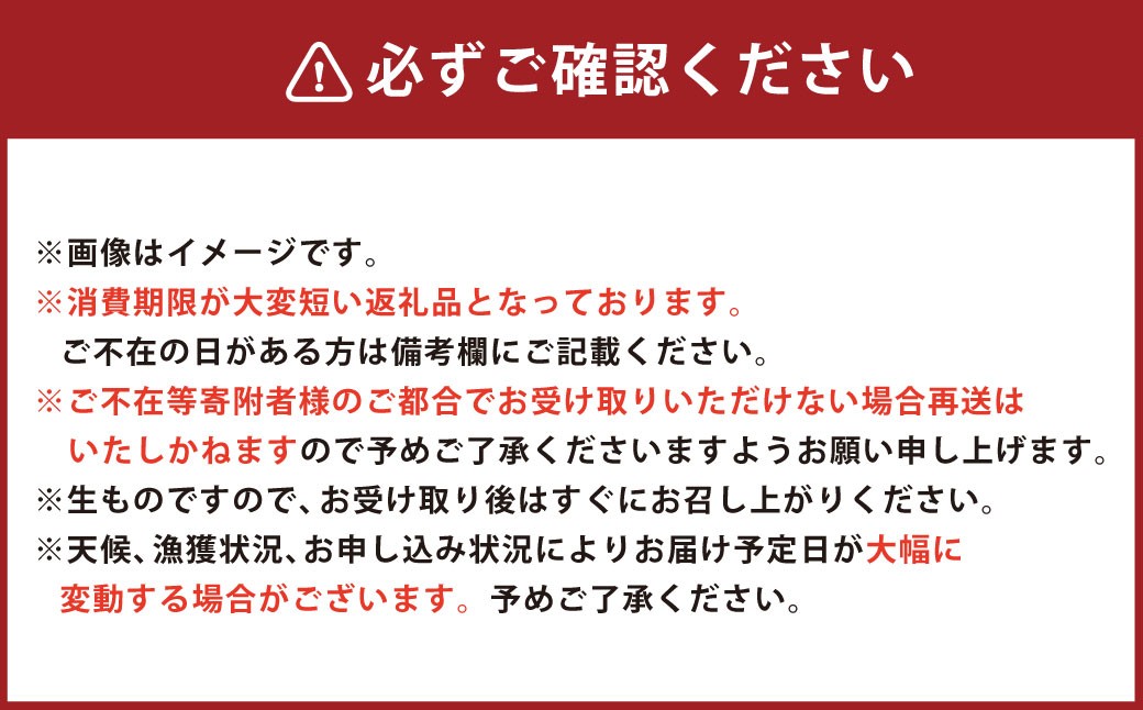 【3回定期便】 牡蠣 坂越かき 殻付き20個～25個 ＋ むき身200g（牡蠣ナイフ付き）