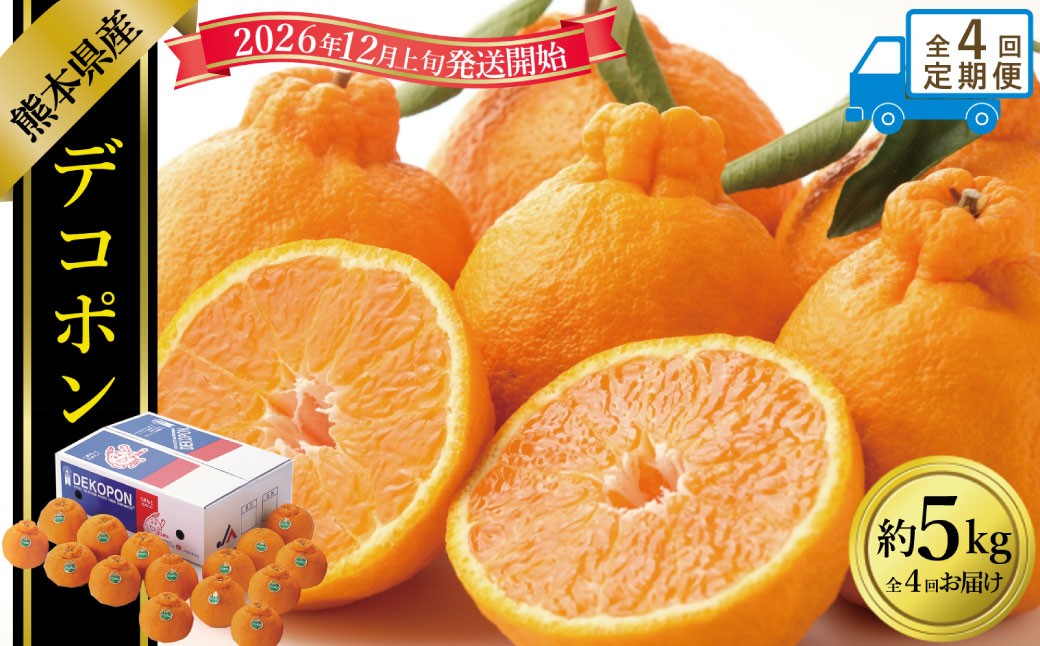 【年4回定期便】デコポン約5kg（15～20玉入り）×4回