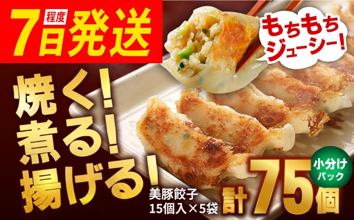 リピーター続出！ 冷凍 小分け 焼餃子 水餃子 餃子 お取り寄せ グルメ 九州 SPF豚 鍋