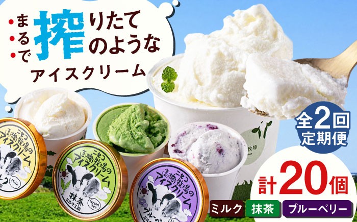 カップアイスセット(130ml×20個)アイス アイスクリーム ジェラート ミルク 抹茶 ブルーベリー セット