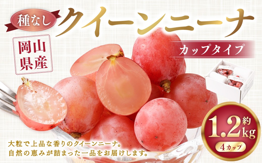 《種なし》 岡山県産 クイーンニーナ 手軽なカップタイプ 約300g × 4カップ 計約1.2kg
