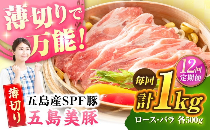 冷凍 豚肉 定期便 ブランド豚 五島美豚 ロース モモ  しゃぶしゃぶ 