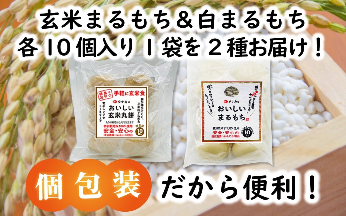個包装だから保存に便利。賞味期限も製造から540日！