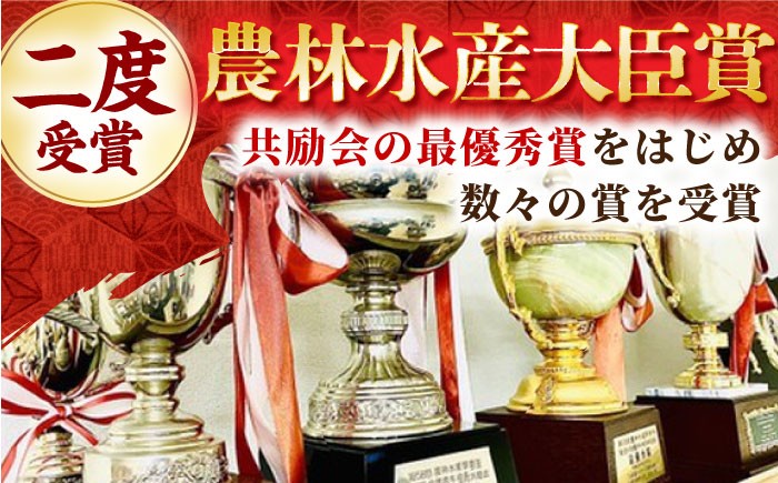 【2度の農林水産大臣賞】佐賀牛 肩ロース スライス 700g ロース スライス 牛肉 佐賀牛 すき焼き しゃぶしゃぶ
