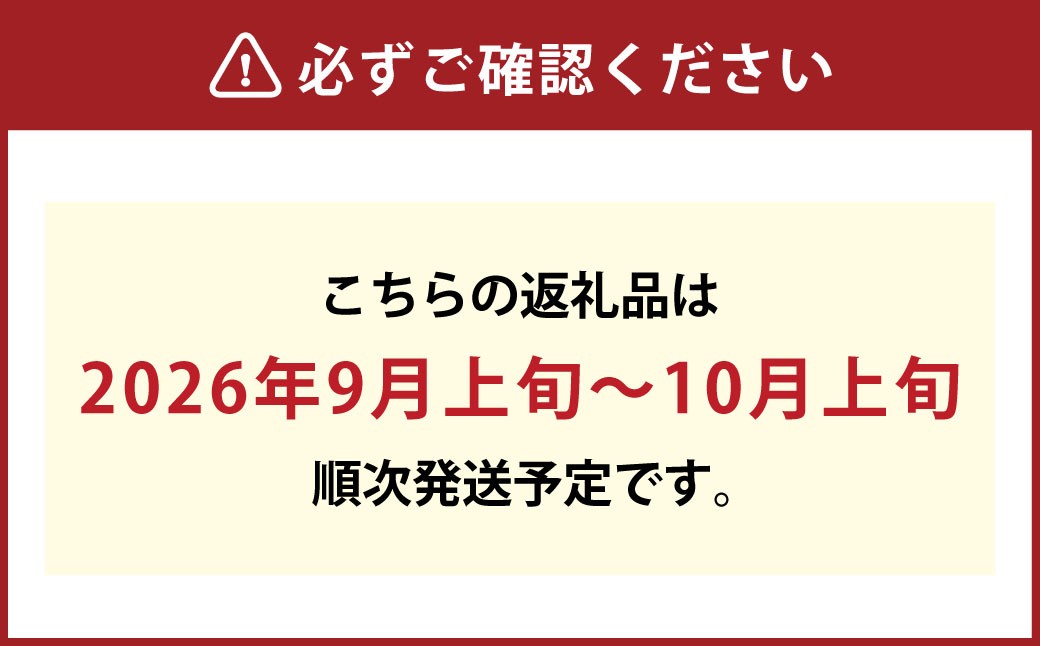 ぼっけえ大粒ピオーネ1房 800g以上 化粧箱入り