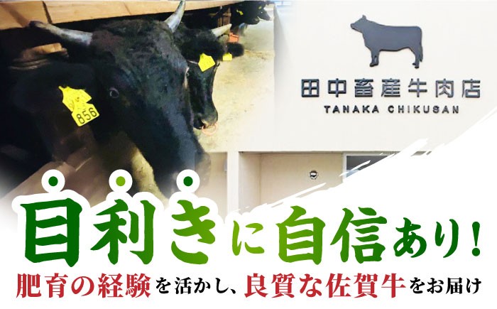 【全12回定期便】佐賀牛 サーロイン スライス 500g【田中畜産牛肉店】 [HBH020]
