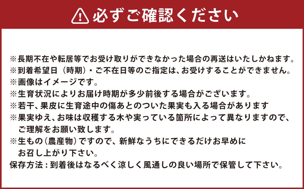 立体スイカ（2玉入り）