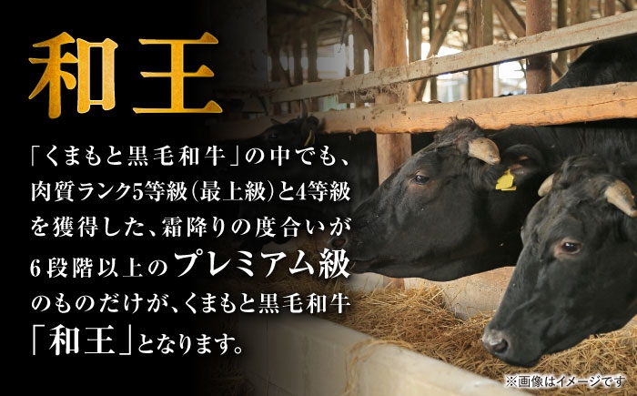 くまもと 黒毛和牛 和王 ミスジ ステーキ 約600g（約150g×4枚）