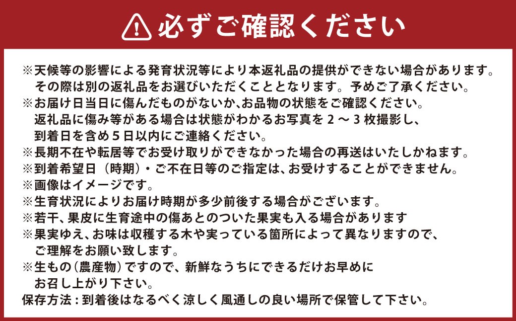 【年3回定期便】熊本おすすめフルーツ定期便A（みかん・いちご・メロン＆デコポン）