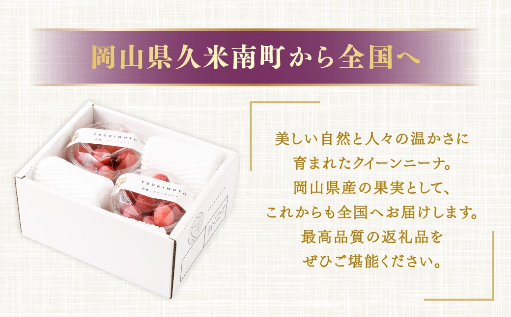 《種なし》 岡山県産 クイーンニーナ 手軽なカップタイプ 約300g × 2カップ 計600g