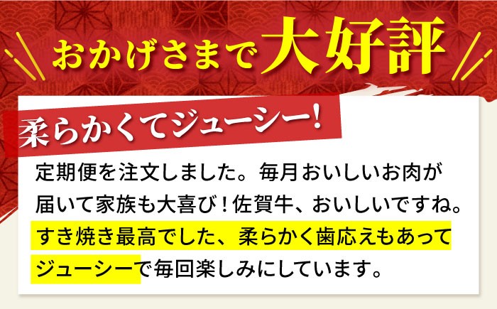 【全12回定期便】佐賀牛 赤身スライス 500g【田中畜産牛肉店】 [HBH061] 黒毛和牛 牛肉 定期便 赤身 スライス