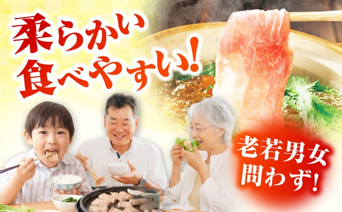 冷凍 豚肉 ブランド豚 五島美豚 ロース モモ すき焼き しゃぶしゃぶ 