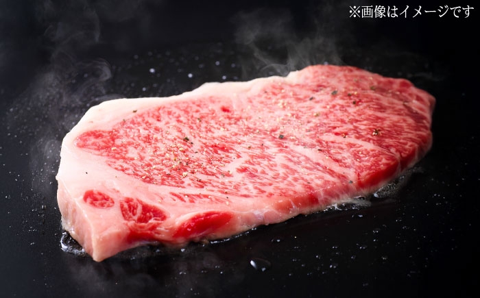 くまもと 黒毛和牛 和王 肩ロース ステーキ 約600g（約200g×3枚）