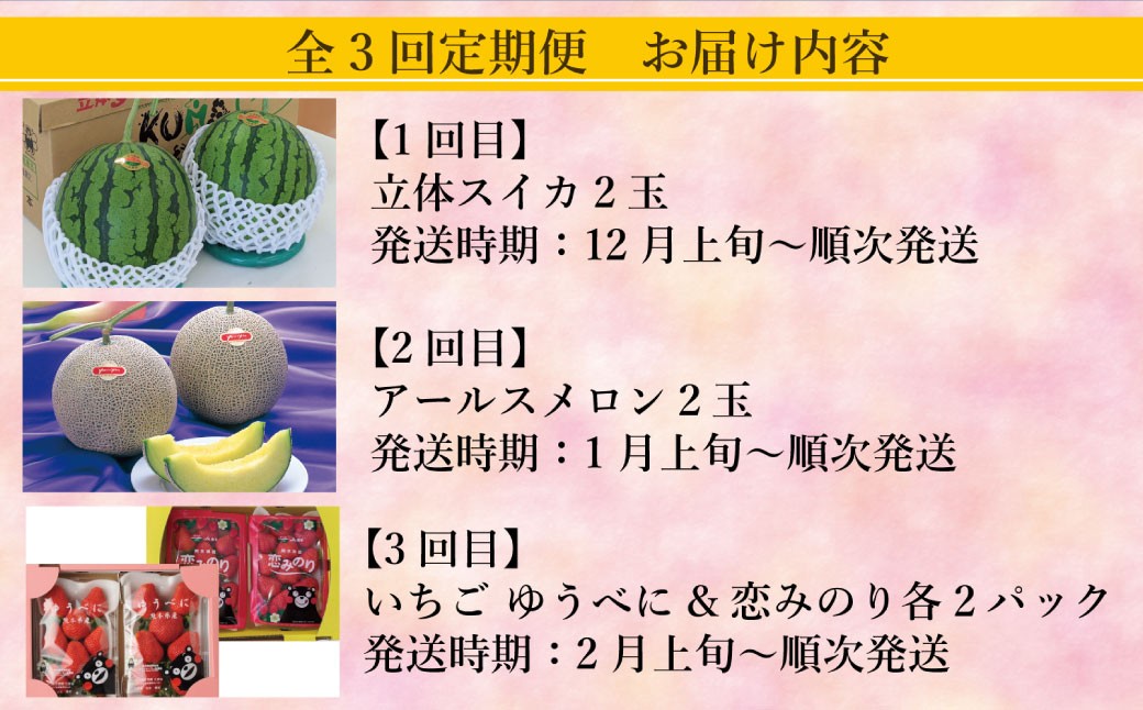 【年3回定期便】熊本おすすめフルーツ定期便B（スイカ・メロン・いちご）