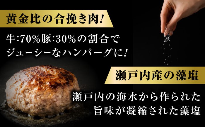 和牛と国産豚を贅沢に使用 ハンバーグ 和牛 牛肉 国産 簡単調理 デミグラス