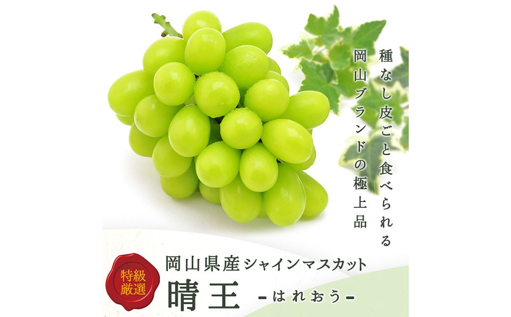 シャインマスカット【晴王】2kg 3房～5房入り