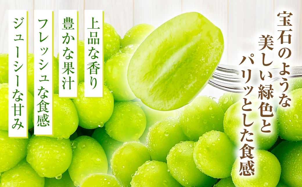 岡山県産 シャインマスカット 晴王 2房 約1.2kg
