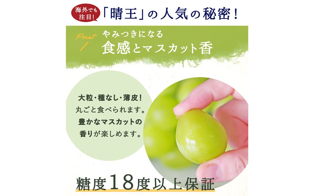 シャインマスカット【晴王】2kg 3房～5房入り