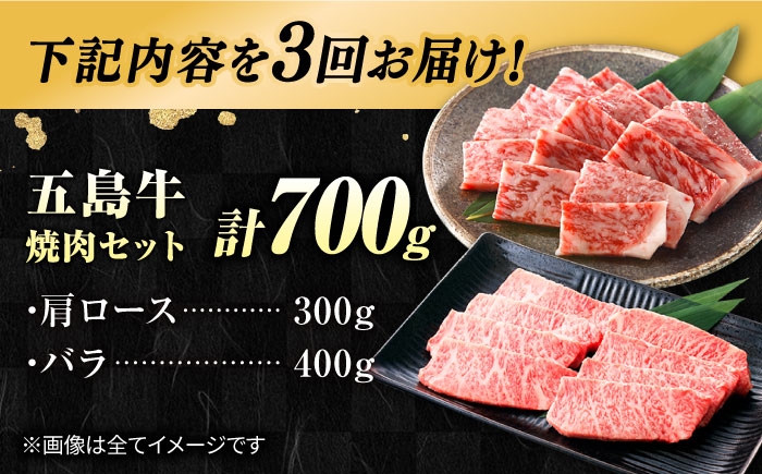 冷凍 牛肉 ブランド牛 和牛 長崎和牛 肩ロース バラ 贈答 高級 贈り物 贅沢