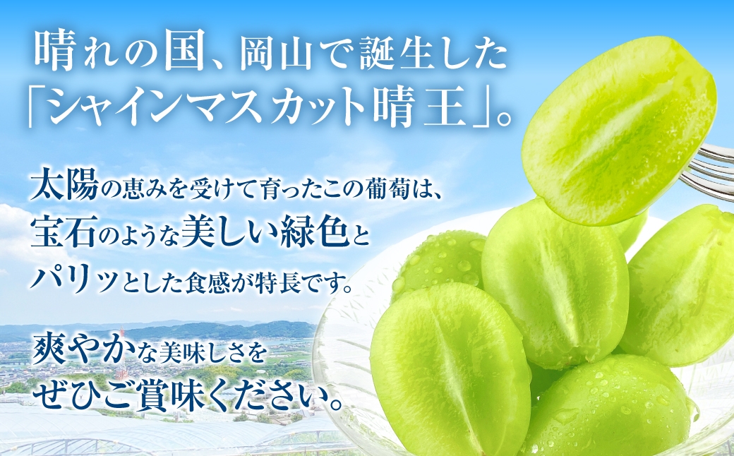 岡山県産 シャインマスカット 晴王 1房 約750g