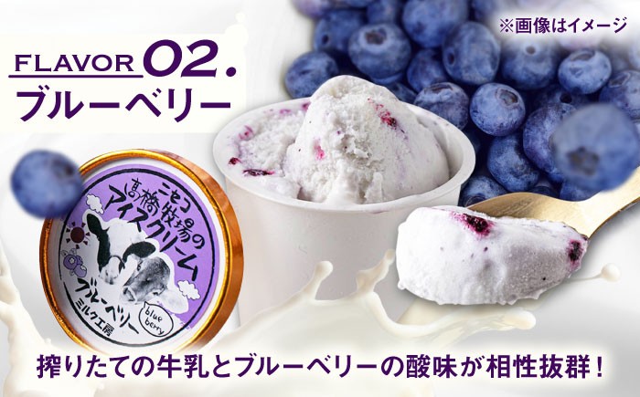 カップアイスセット(130ml×20個)アイス アイスクリーム ジェラート ミルク 抹茶 ブルーベリー セット