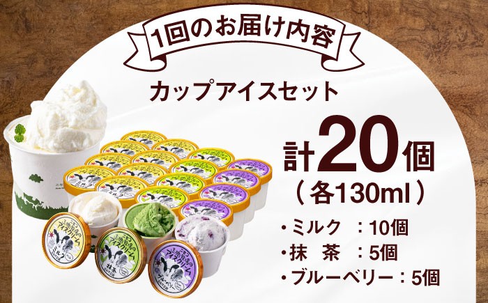 カップアイスセット(130ml×20個)アイス アイスクリーム ジェラート ミルク 抹茶 ブルーベリー セット