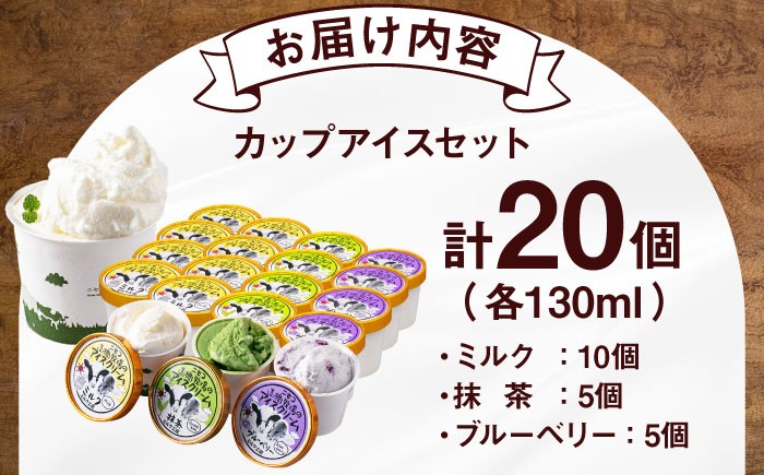 カップアイスセット(130ml×20個) アイス アイスクリーム ジェラ―ト ミルク 抹茶 ブルーベリー セット