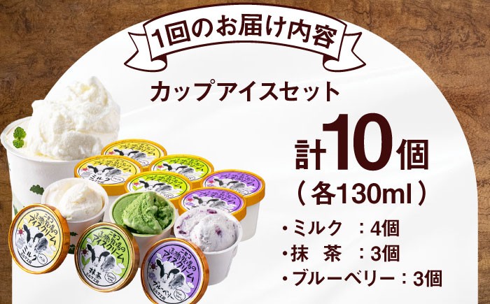 カップアイスセット(130ml×10個) アイス アイスクリーム ジェラート ミルク 抹茶 ブルーベリー セット