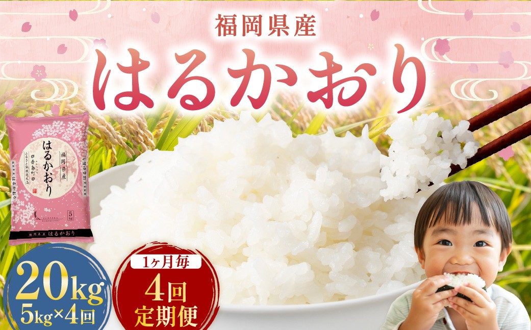 【1ヶ月毎4回定期便】はるかおり5kg