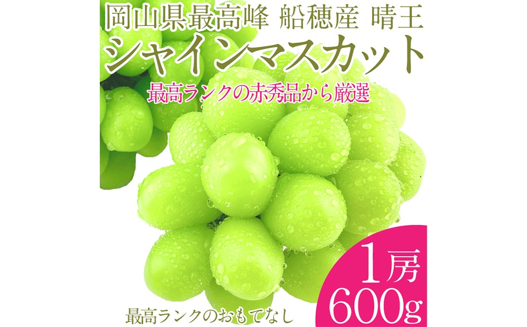 プレミアムシャインマスカット晴王 船穂Ver  赤秀ぶどう1房 約600g