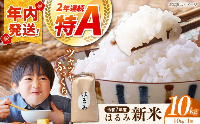 令和7年産 はるみ米 10kg 10kg×1袋 神奈川県 令和7年度産 米 おこめ お米 白米 こめ ライス rice kome