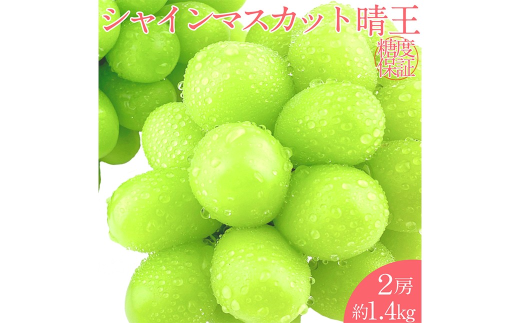 【お中元対象商品】晴王 シャインマスカット晴王 2房 約1.4kg