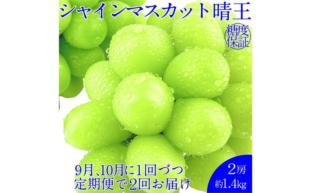 晴王 シャインマスカット晴王 2房 約1.4kg