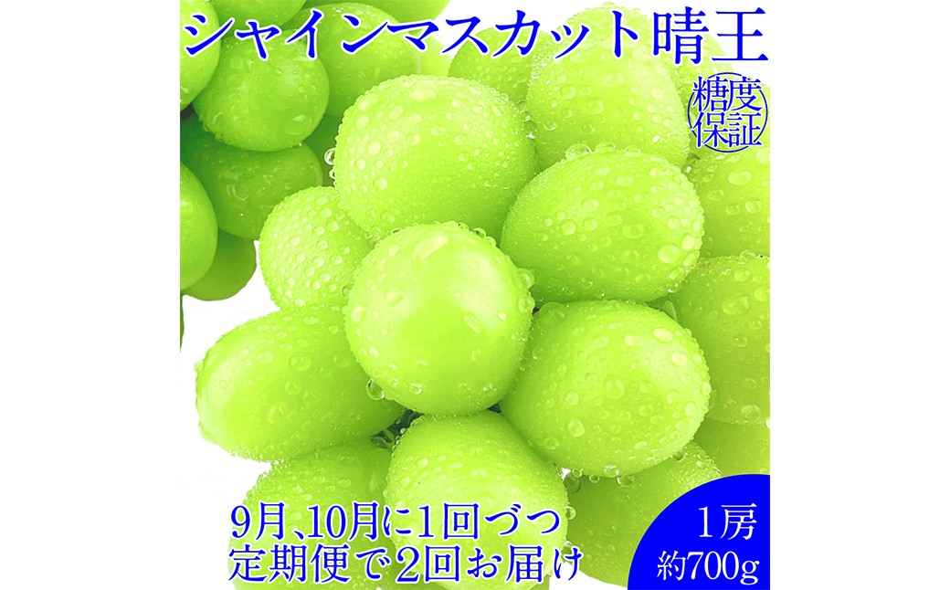 晴王 シャインマスカット晴王 1房 約700g