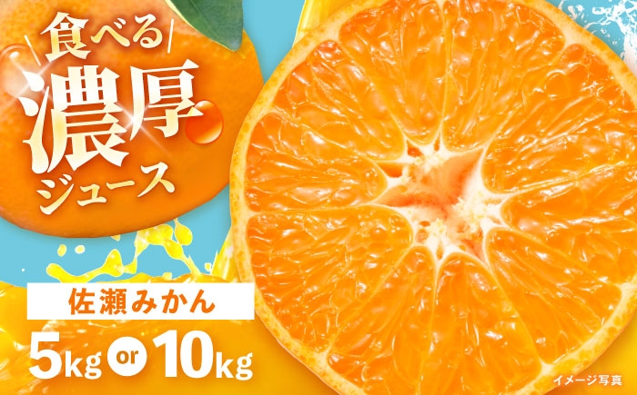 みかん ミカン 蜜柑 mikan 5kg オレンジ おれんじ 柑橘 かんきつ フルーツ ふるーつ 果物 くだもの みかんジュース