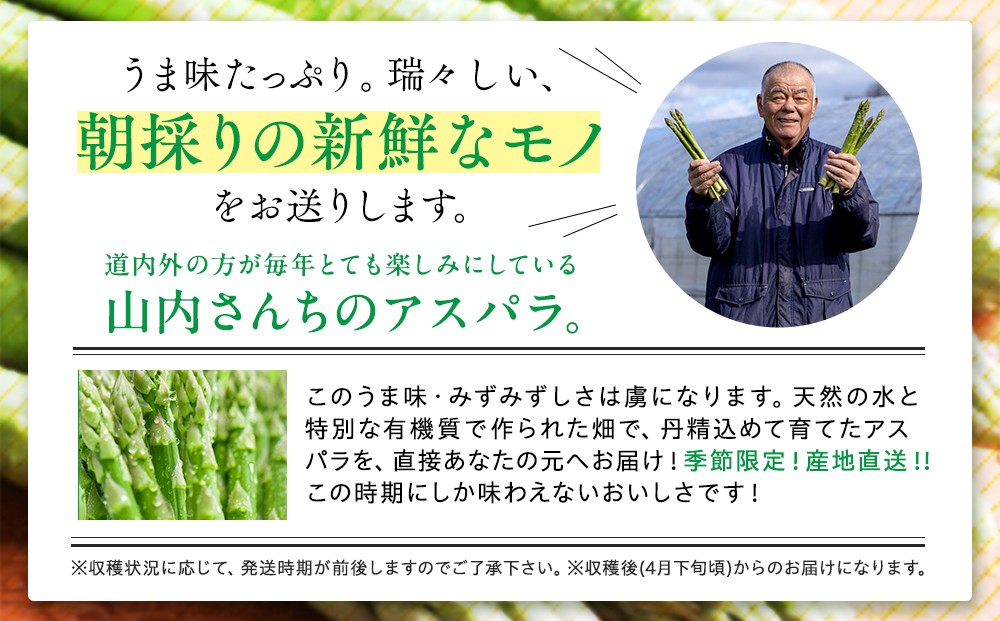 1本1本、丁寧に収穫