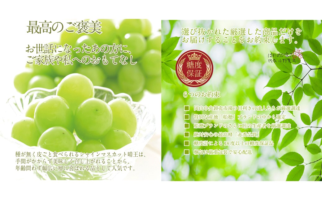 プレミアムシャインマスカット晴王 船穂Ver  赤秀ぶどう1房 約700g
