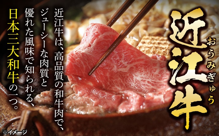 すき焼き肉 すき焼きセット 和牛 すき焼き 牛肉 和牛 焼肉 しゃぶしゃぶ 焼肉 近江牛 国産 人気 ギフト おすすめ 長浜市