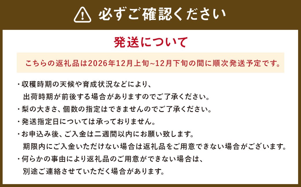 九重町産 梨 「愛宕」 5kg 果物 フルーツ なし