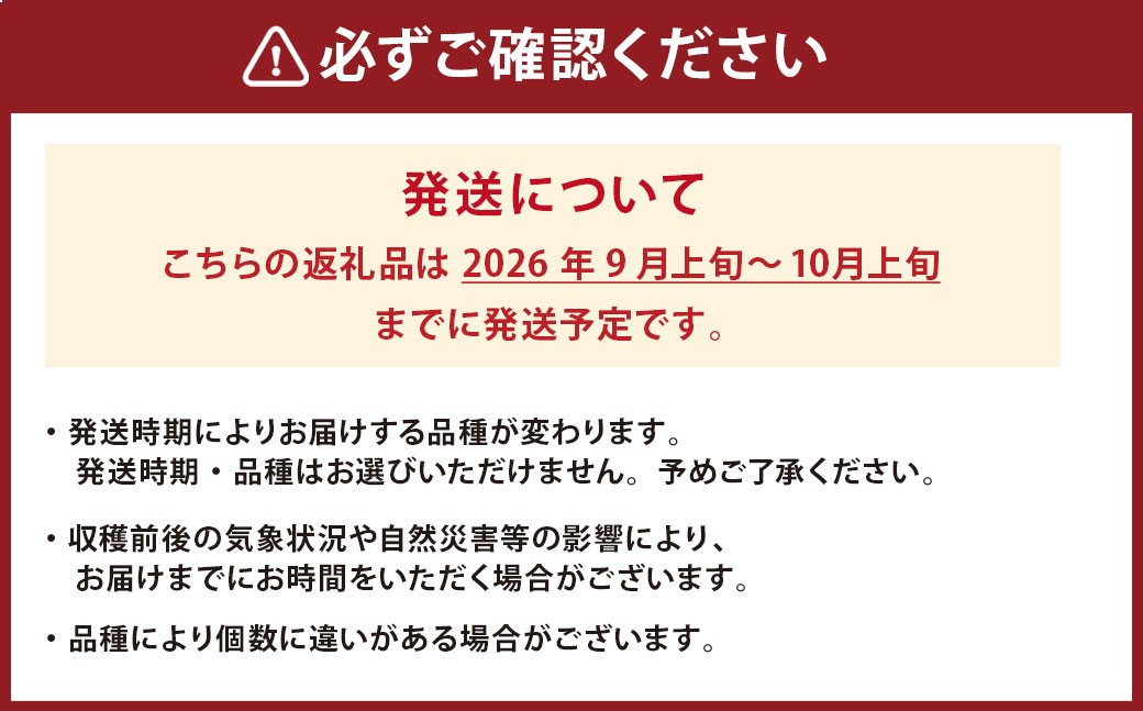 永楽果樹園 梨 約3kg